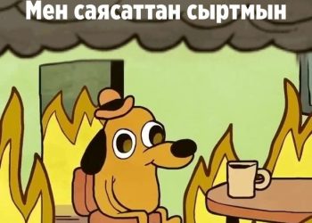 «Мен саясатка кызыкпайм» - бул фразанын эмнеси туура эмес