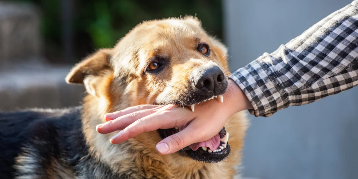 Кутурма айыкпайт. Адистер өлүмгө жеткирген оорунун алдын алуу жолдорун айтышты