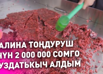 Малина тоңдуруп киреше тапкан ишкердин ийгилик сыры