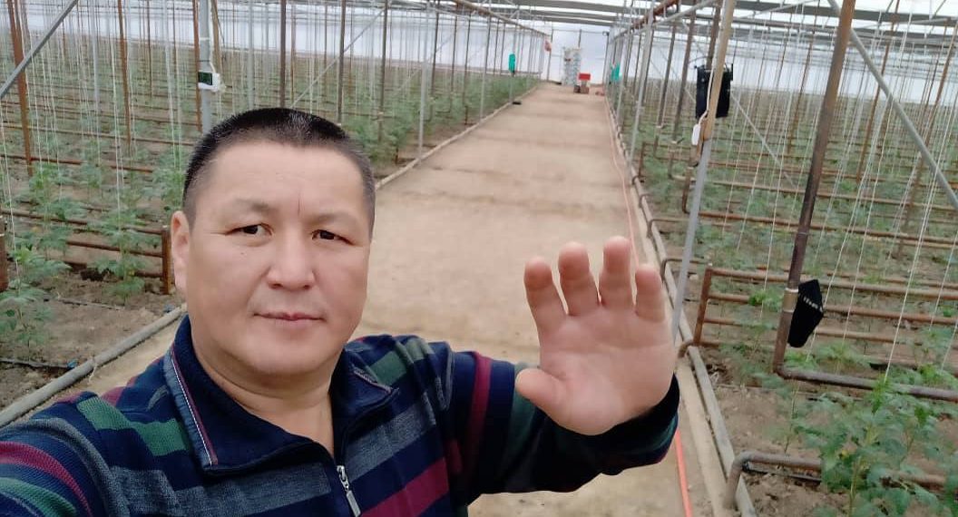 Күнөскана иштетип күнүнө 3-5 тонна түшүм алган ишкер үй-бүлөнүн ийгилик сыры