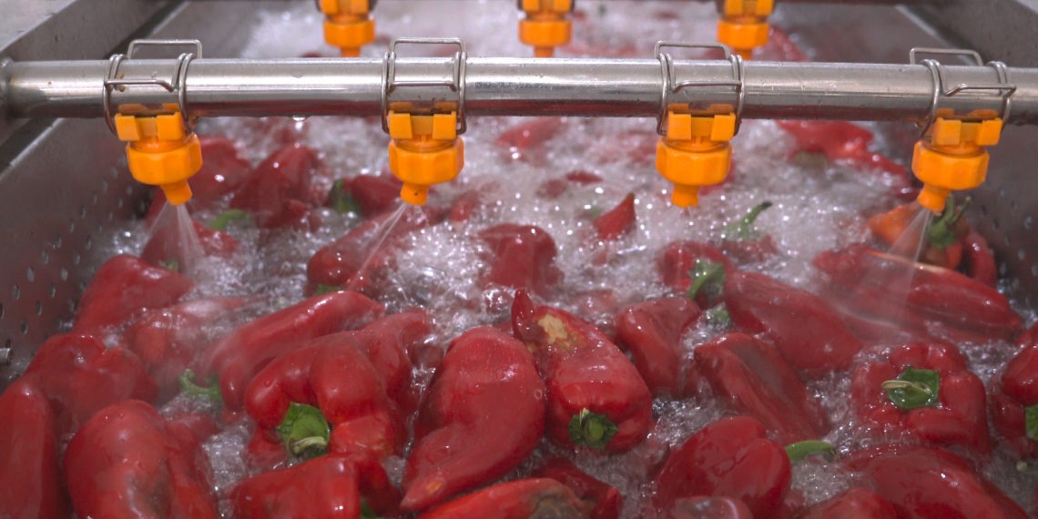 Экологиялык азыктарды чыгарган ишкерлерге кредит берилет