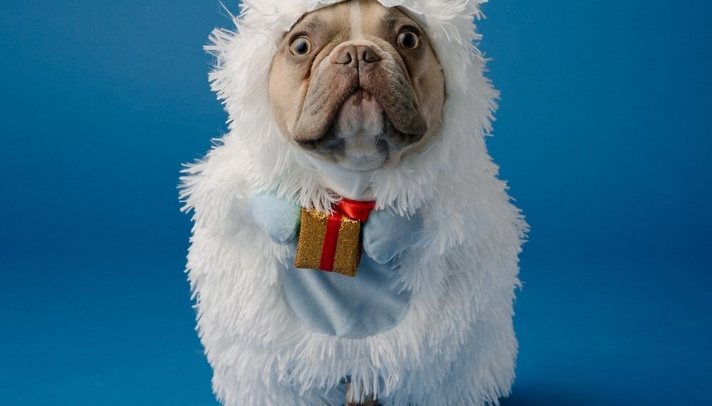 Жумушун экинчи орунга койгондон кийин жашоосу өзгөргөн адамдан 5 кеңеш