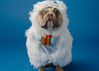 Жумушун экинчи орунга койгондон кийин жашоосу өзгөргөн адамдан 5 кеңеш