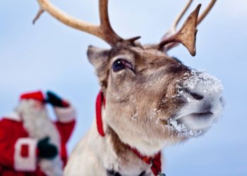 Психолог балдар качан Аяз атага ишенбей каларын айтып берди