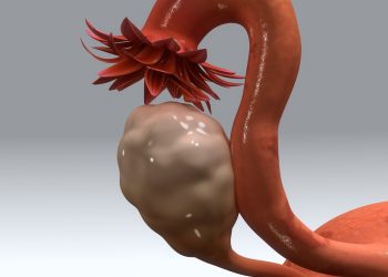 Спираль салдыргандан кийин канча күн кошулбай туруш керек?