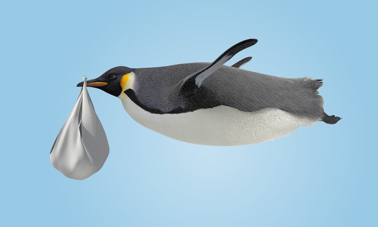 Боюмда бар экен