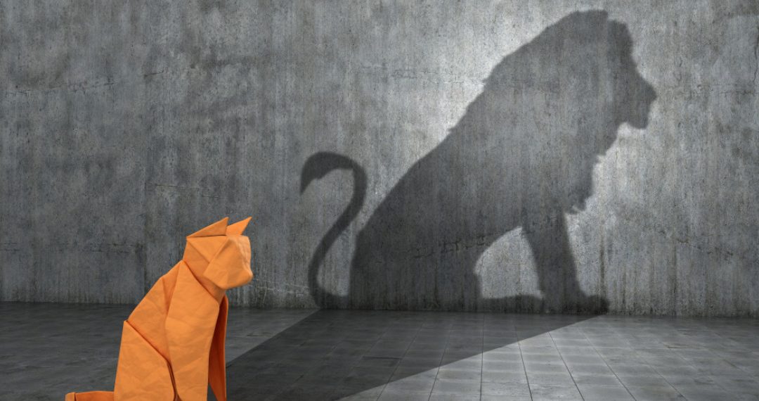 Эгер сизде бул белгилер болсо