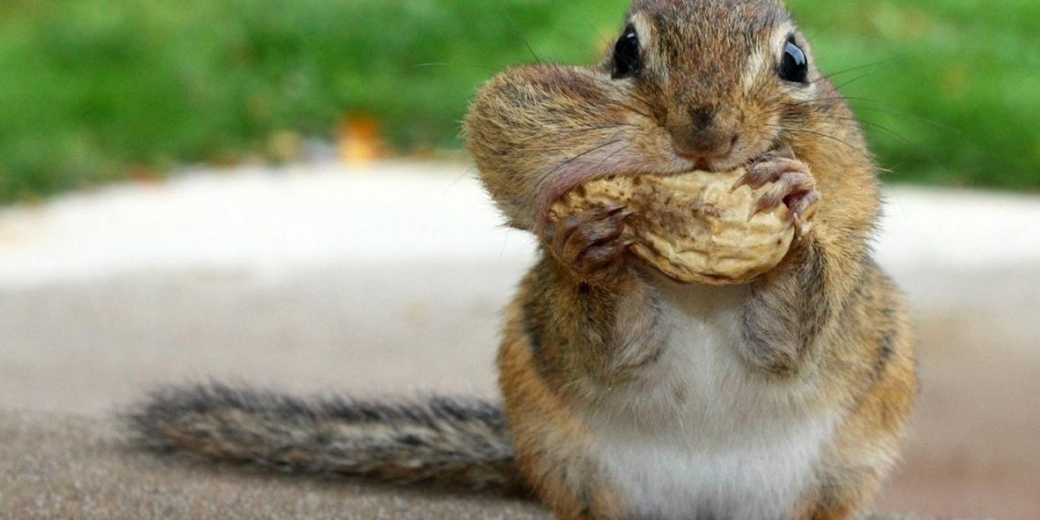 Бул 4 адаттын айынан адамдар кембагал болот