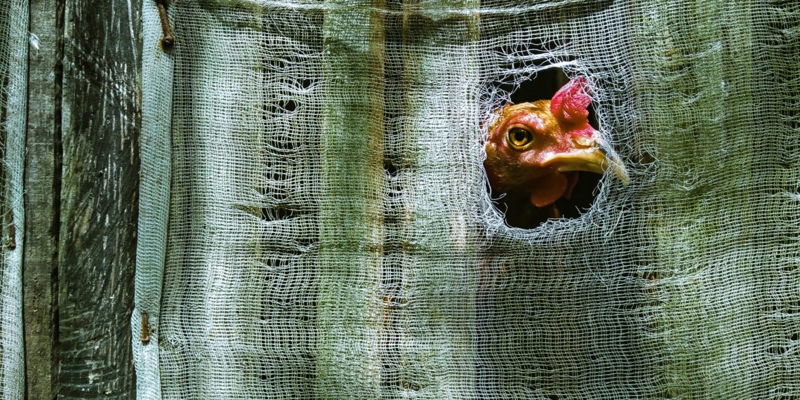 Бул 3 адат сизге тааныш болсо