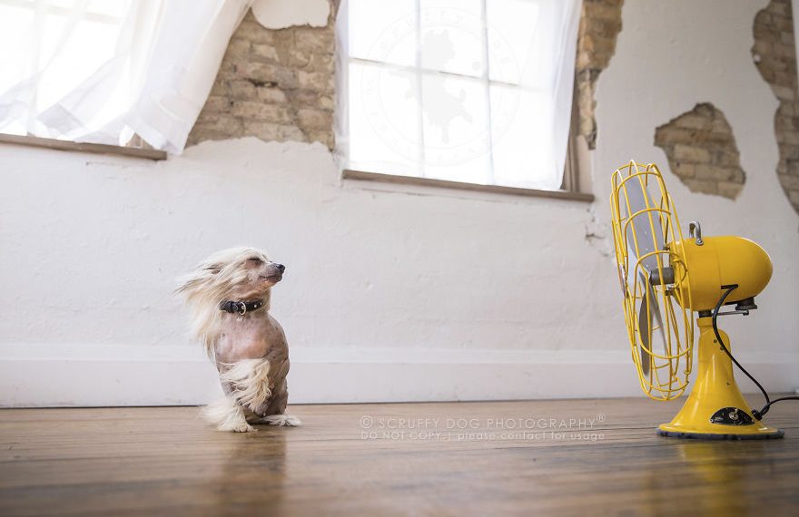 Бул кеңештерди аткарсаңыз