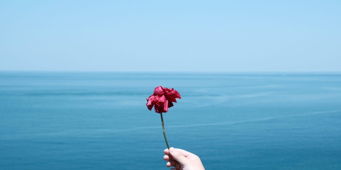 Карапайым адамдардын кызы деп чанган келинимен кечирим сурайм